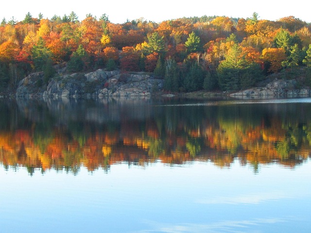 calm Canadian lake with evergreens and soft morning light