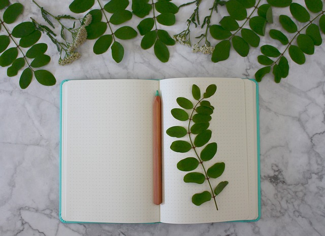 open journal, pen, and calm Canadian lake backdrop